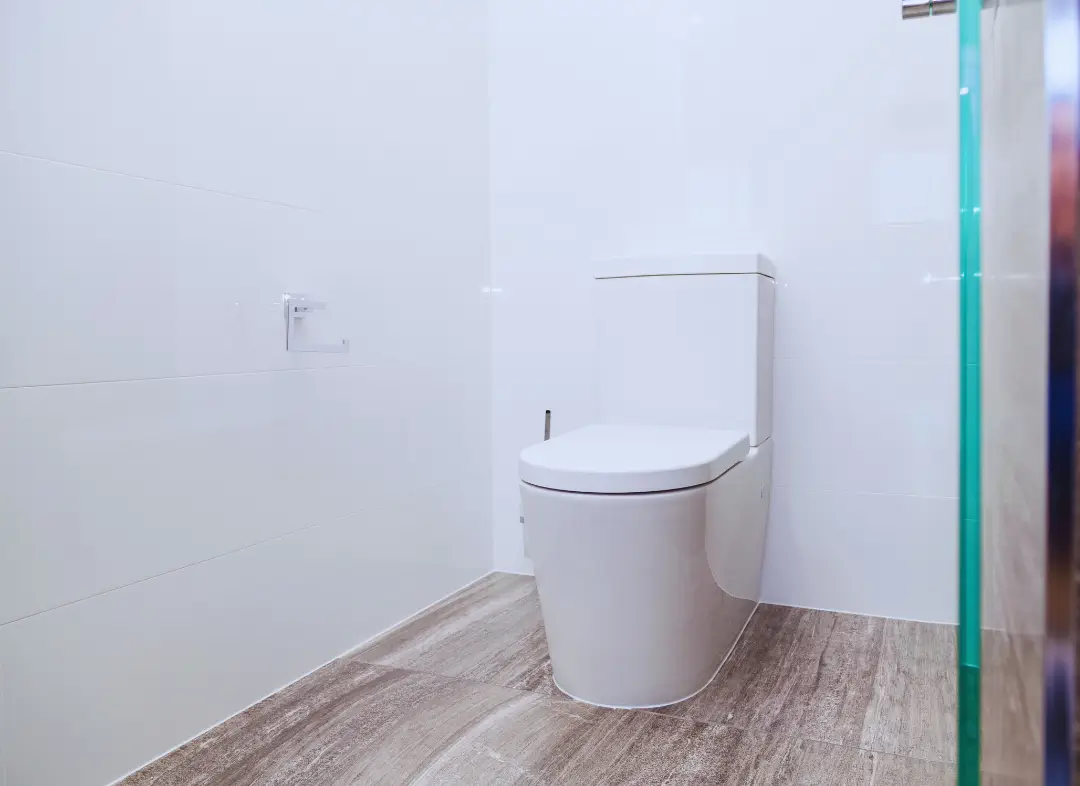 Remplacement de wc Bléré